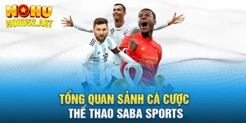 Vài nét cơ bản về sảnh saba thể thao giải trí